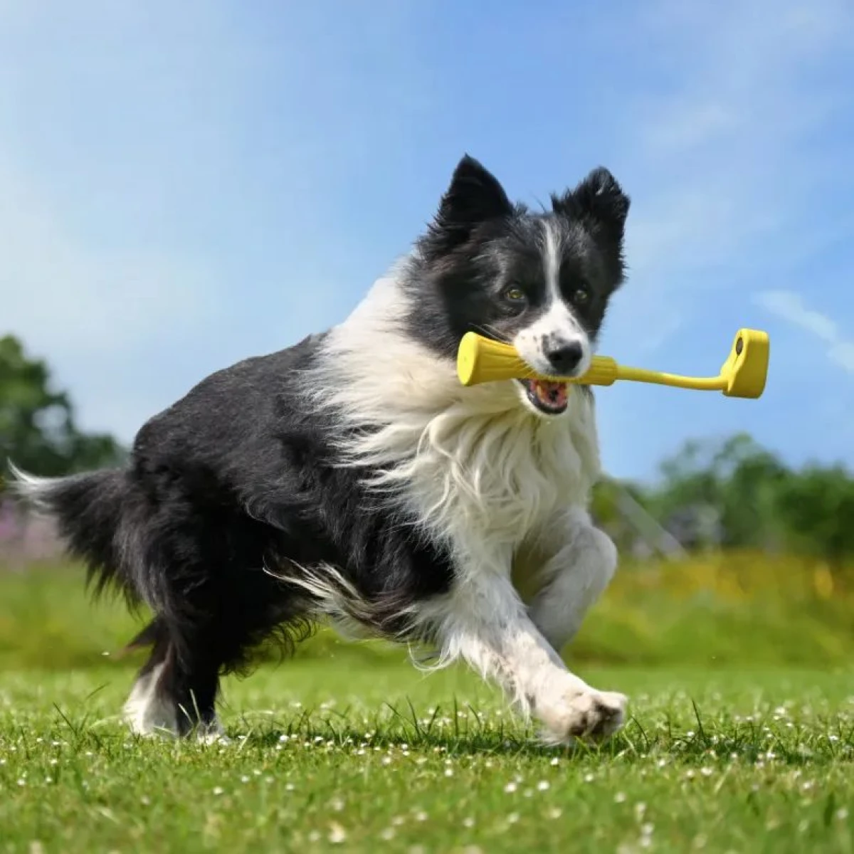 Insta360 GO 3 Fetch Stick - Image 5