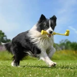 Insta360 GO 3 Fetch Stick - Image 5