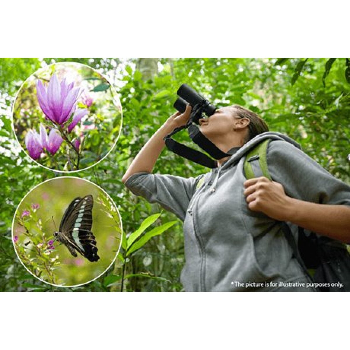 Olympus Binoculars 8x42 PRO incl. Case - Image 5