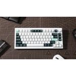 Keychron Q1 HE (Q1H-P1) QMK White Wireless Custom Hall Effect Keyboard Purple Switch 75% US Layout - Image 2